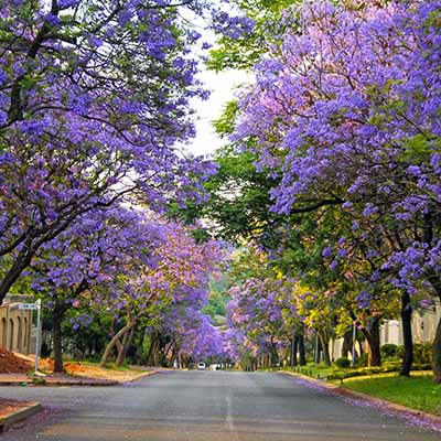Pretoria