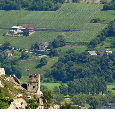 Sion