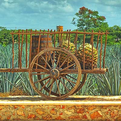 Tequila
