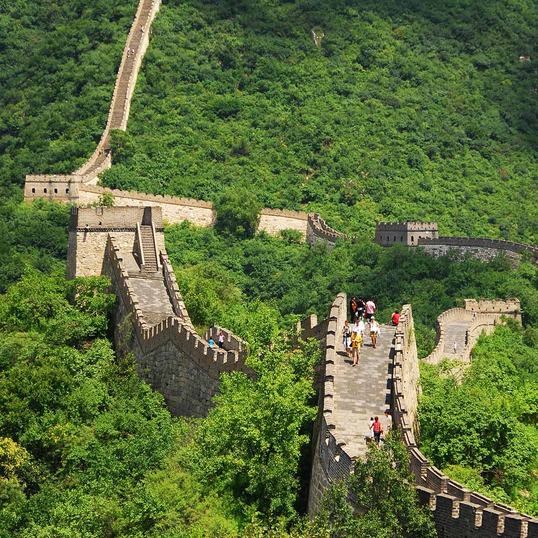 Cina Cina