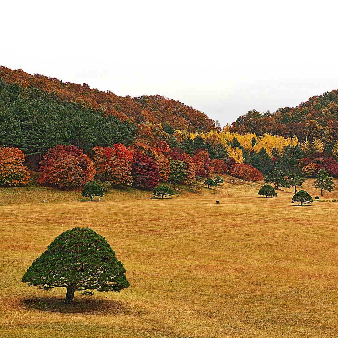 Daejeon Daejeon