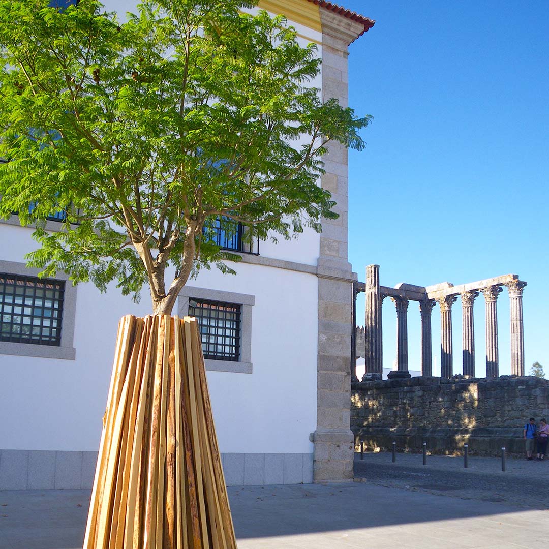 Évora Évora