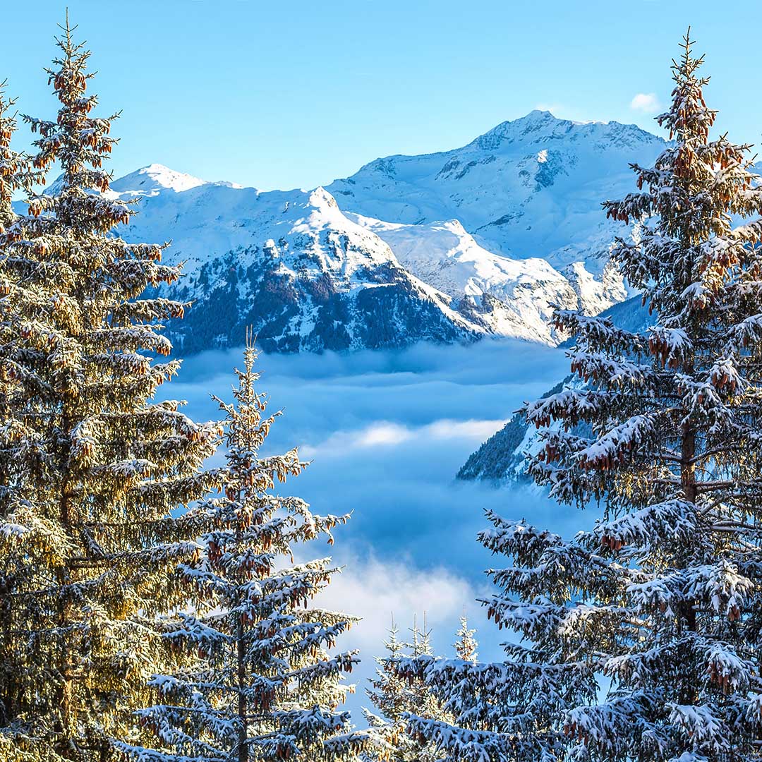 Alpi francesi Alpi francesi
